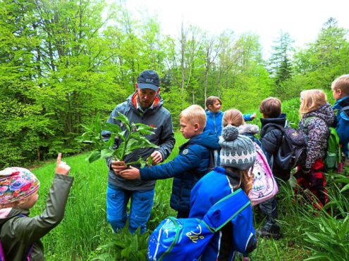 Schüler sammeln Wildkräuter