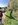 Aktion Saubere Landschaft
